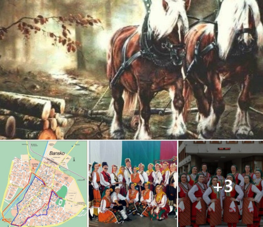 С подкрепата на община Банско, стопани и любители на коне