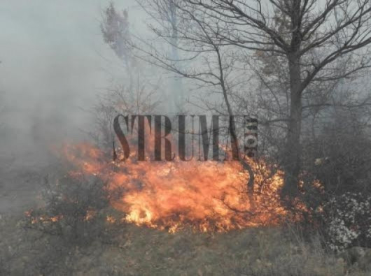 Пожар пламна в района на Манастирски гори край Рилския манастир