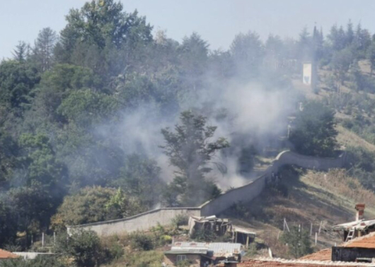 Пожар горяв близост до зоопарка в Благоевград. По предварителна информация