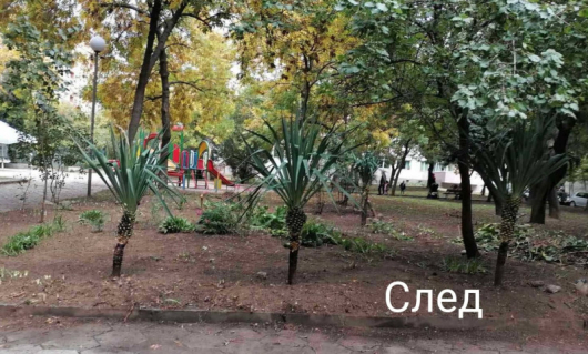 Служители на ОП Озеленяване облагородиха поредното зелено пространство в Благоевград