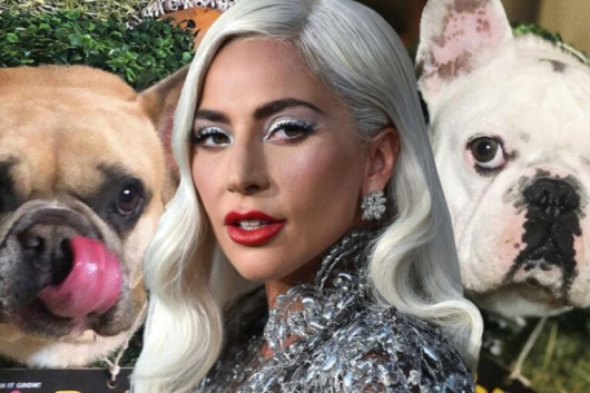 Похитител на кучетата на Лейди Гага стрелял по неин служител