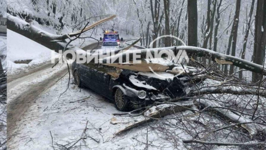 Дърво падна върху автомобил, който изкачвал прохода Шипка от северната