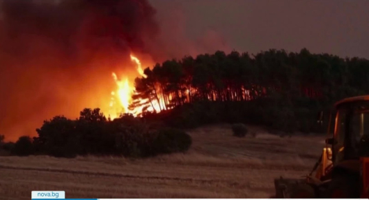 Горските пожари край гръцкия град Александруполис отнеха живота на ощедвадесет