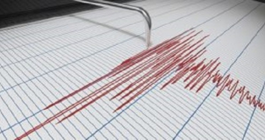Земетресение с магнитуд 4,1 разлюля района на Истанбул, съобщи турската