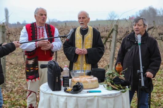 20 винопроизводители от община Петрич се включиха в конкурса Най добро