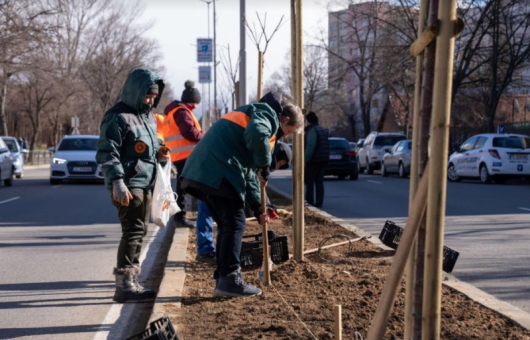 Община Благоевград предприе мерки по подготвяне на зелените площи парковете