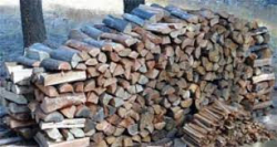 Югозападното държавно предприятие има готовност да подкрепи с дърва за