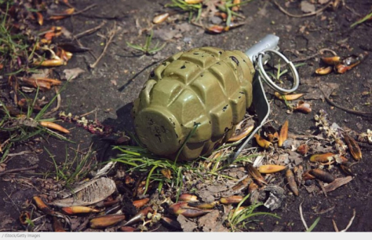 Невзривена граната е намерена в частен имот в Радомир съобщи