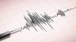 Жена е загинала в резултат на земетресение в Босна тази