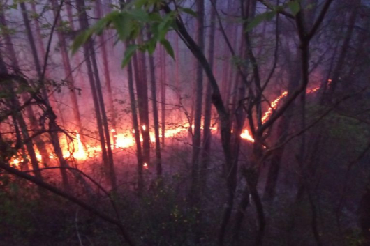 Пожарът над село Илинденци община Струмяни е овладян Продължава работата