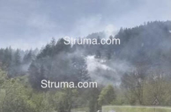 Пожар бушува в района на гробищния парк в Добринище и