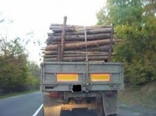 Служители на ЮЗДП и ИАГ задържаха камион с незаконна дървесина