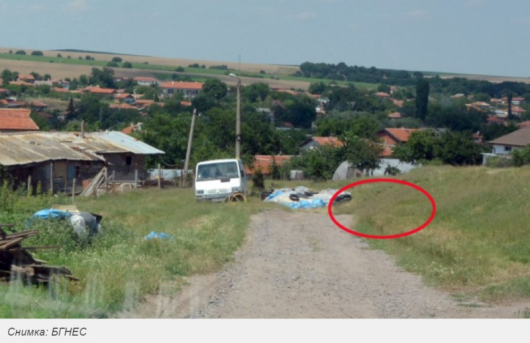 Нахапаното от куче 10 годишно дете в хасковското село Въгларово е