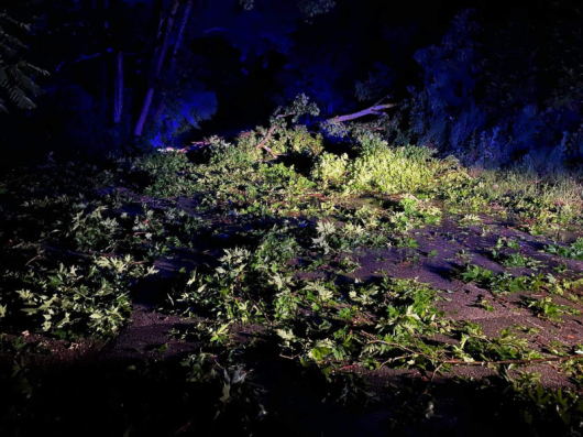 Сериозни поражения след силната буря в парк "Св. Врач" в