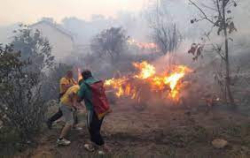 9 пожара са гасили през изминалото денонощие екипи на РСПБЗН