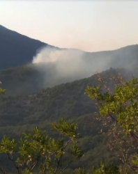 По потушаването на пожараработят горски служители от ЮЗДППожар е възникнал