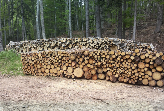 Увеличено търсене на дърва за огрев отчитат от Югозападното държавно