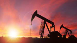 Цените на суровия петрол се сринаха днес като листнатият в