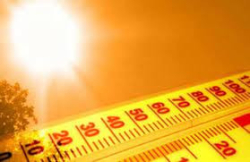 Температурни рекорди за вчерашния ден са отчетени в Хасково и