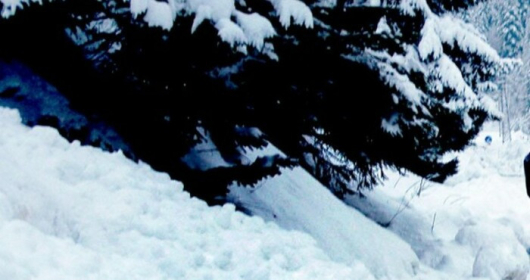 10 скиори са затрупани от лавина, паднала в Западна Австрия