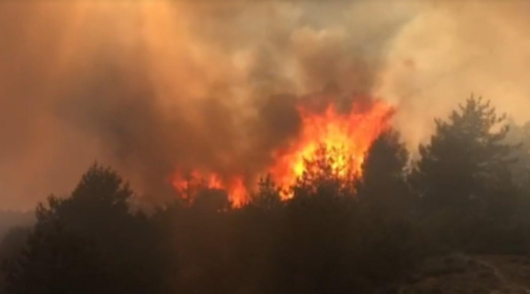 Пожарът над село Елешница се развива на около 40 декара