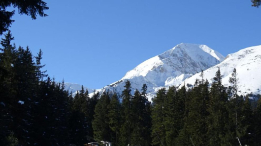 Инициативен комитетзапочна петиция заименуваненапланински връх на името на родния алпинист