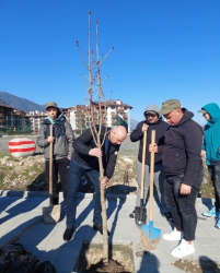В рамките на националната Седмица на гората община Банско ДГС Добринище