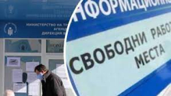 12 172 са безработните лица в област Благоевград регистрирани в