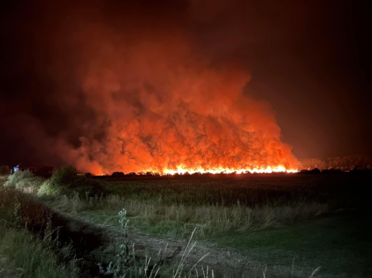 Пожар избухна тази вечер над Разлог, в района на бившата