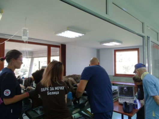 Миналата седмица екип от български специалисти извършиха медицински преглед намечките