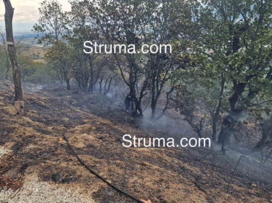 Голям пожарв землището на петричкото село Първомай. Огъняте обхванал над