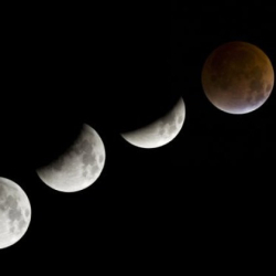 Нарастващата луна е периодът между новолунието и пълнолунието Астрологът Анджела