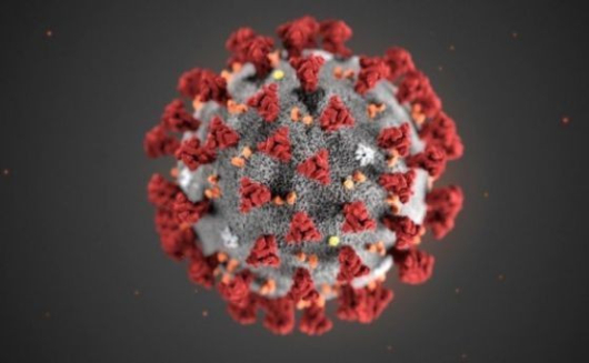 376 са новите случаи на коронавирус у нас Направени са
