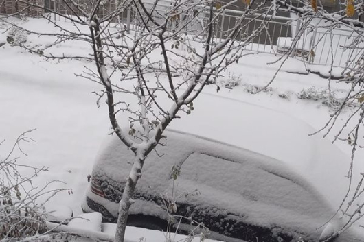 15 20 сантиметра е снежната покривка в селата Скобелево Чурен и