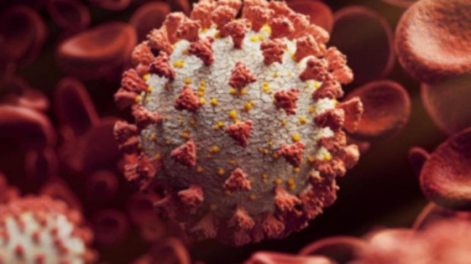 172 са новите случаи на коронавирус у нас. Направени са
