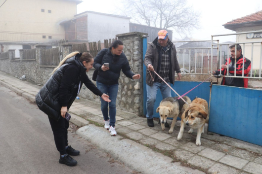 Инициативата на Общинската администрация за осиновяване на бездомни кучета постигна