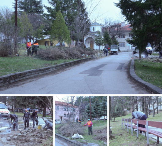 Днес служители на ОП Чистота чистят растителността и кастрят дърветата