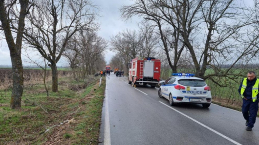 Трима души загинахапри тежка катастрофа на пътяДобрич - село Росеново.