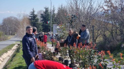 Жители на с. Коларово и доброволци от община Петрич засадиха