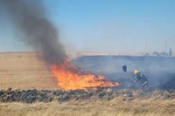 14 пожара са гасили екипи на РСПБЗН в Кюстендилска област