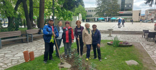 Днес представителки на женския туристически клуб Планинарка засадиха алеис пролетни