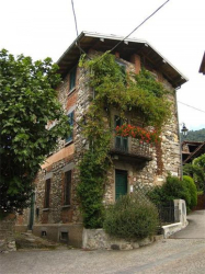 Повечето от къщите в село Орино са китни и добре поддържани от 800-те жители.