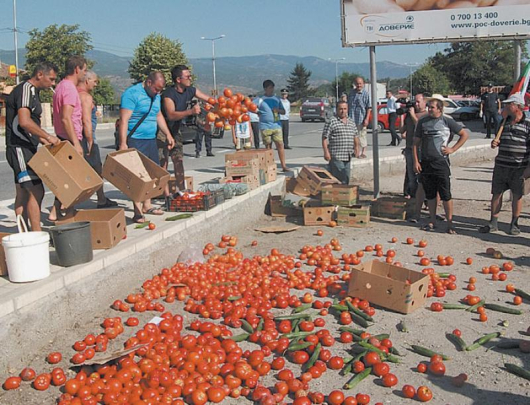 Несъгласни с ниската цена, стопани демонстративно изсипаха тонове домати в района на главния път