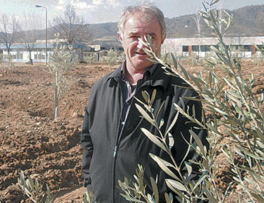 Директорът Стефан Дончев сред новосъздаващата се маслинена горичка