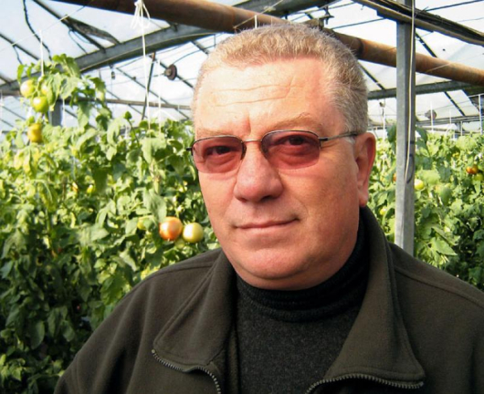 Пламен Сапунджиев е управител на оранжерийния комплекс за безпочвено отглеждане на краставици и домати в Кресна