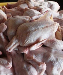 Водното съдържание в пилешкото месо не може да е повече от 4,3 процента. Сн.: EPA/БГНЕС