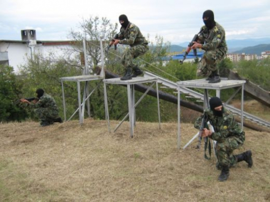 Българската войска оредява с всяка изминала година