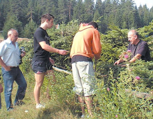 Лазар Тюлев /вдясно/ и децата му помагат в полицейското разследване за орязаните борови дървета