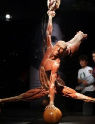 Впечатляващо реална изложба, която ще разкрие тайните на човешкото тяло, се казва в рекламата на изложбата.Сн.: БГНЕС