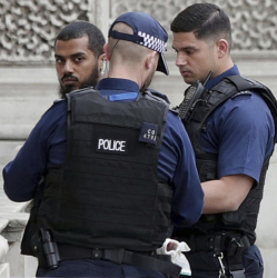 Миналия месец британски полицаи арестуваха в центъра на Лондон и мъж, въоръжен с ножове. Сн.: БТА
